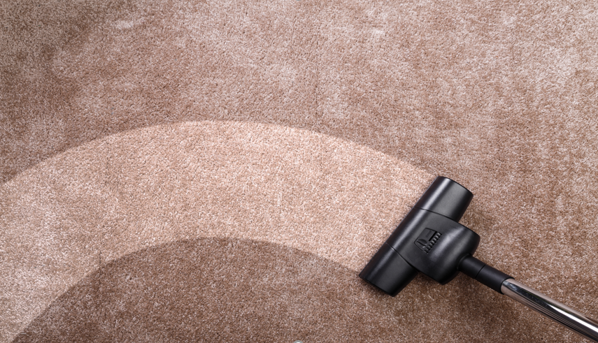 3 Reasons Why You Need a Professional Carpet Cleaning