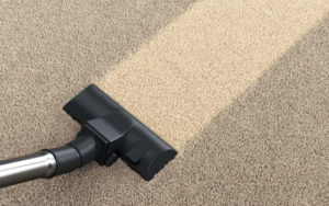 Carpet Cleaning from Thoroclean – Helping Your Home Look its Best
