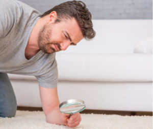 How Much Dust Is REALLY In Your Carpets?