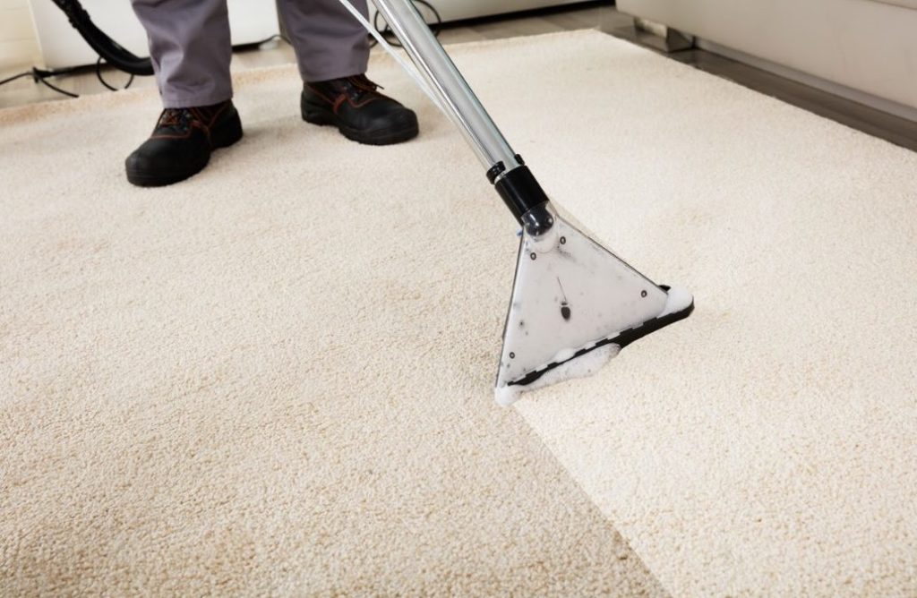 What Happens If You Don’t Clean Your Carpets by ThoroClean Albuquerque NM