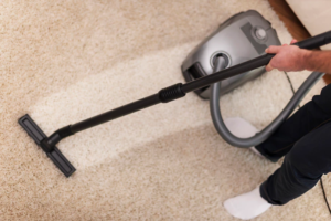 The Importance of Seeing a Carpet Cleaning Specialist in Albuquerque