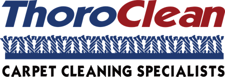ThorClean Company Logo