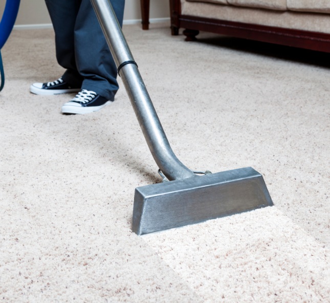 ThoroClean’s Albuquerque Hot Water Extraction Carpet Cleaning Services are the Best—Here’s Why