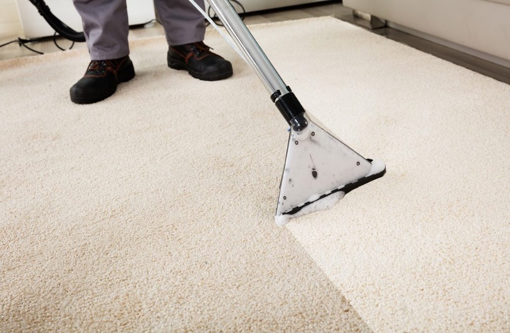 Top 10 Factors to Get Your Carpet Cleaned Regularly