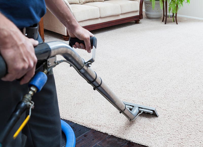 Top 10 Reasons to Get Your Carpet Cleaned Regularly