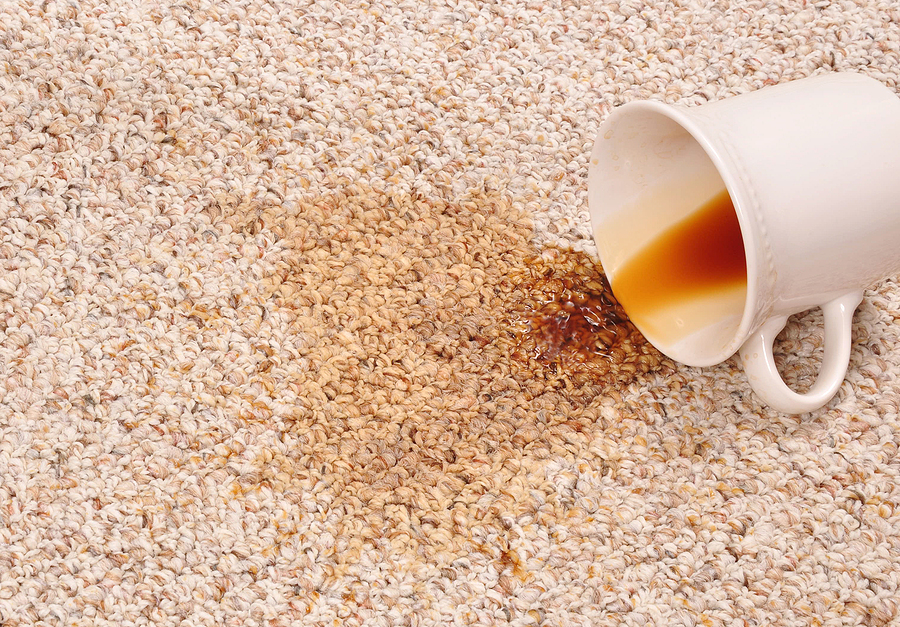 The Best Way to Remove Coffee Stains from Carpet