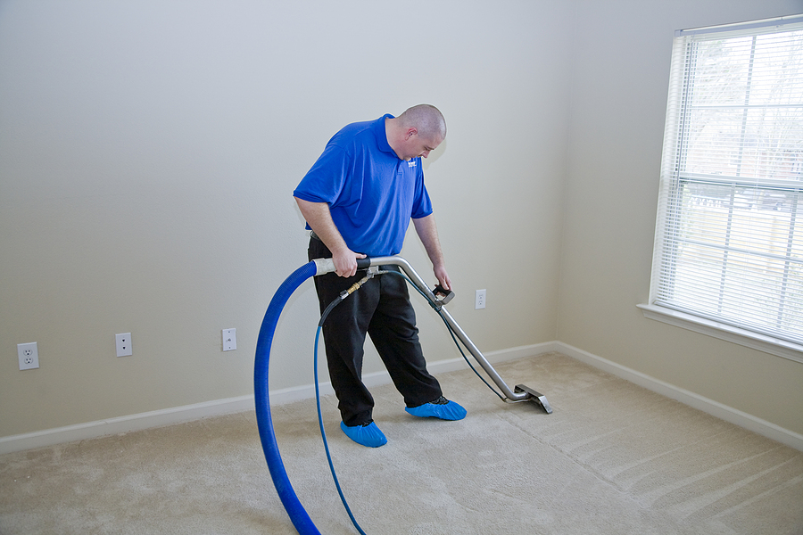 How Often Should I Be Cleaning My Carpets?