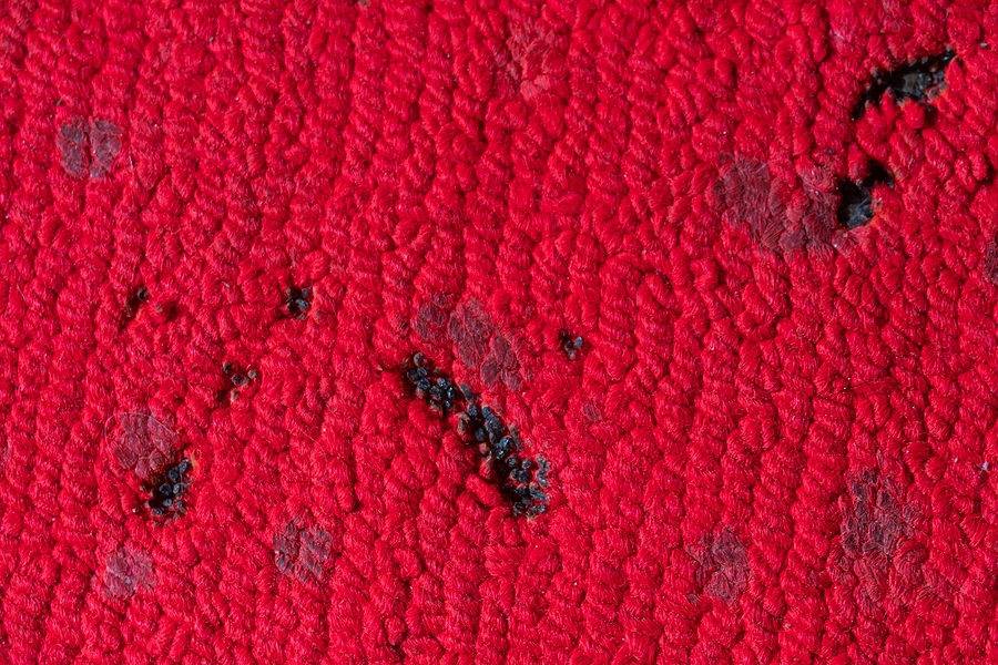 What are Some Carpet Repair Strategies for My Carpets