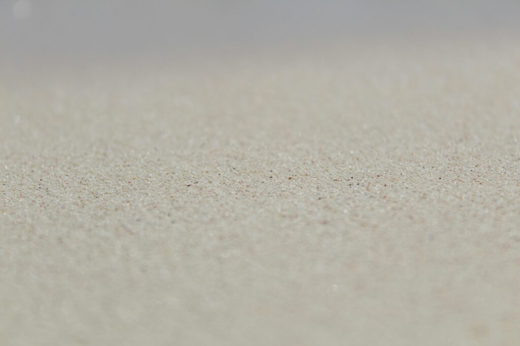 Is Carpet Cleaning in Winter a Good Idea paola-andrea-WQjTBNMFg3M-unsplash