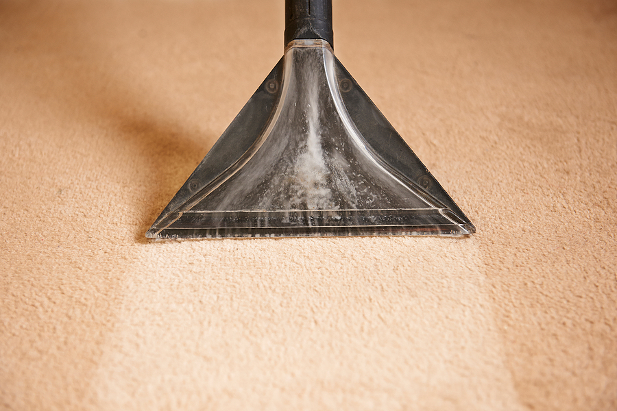 How Does Dirty Carpet Impact Indoor Air Quality and Your Health by ThoroClean 505-883-0437