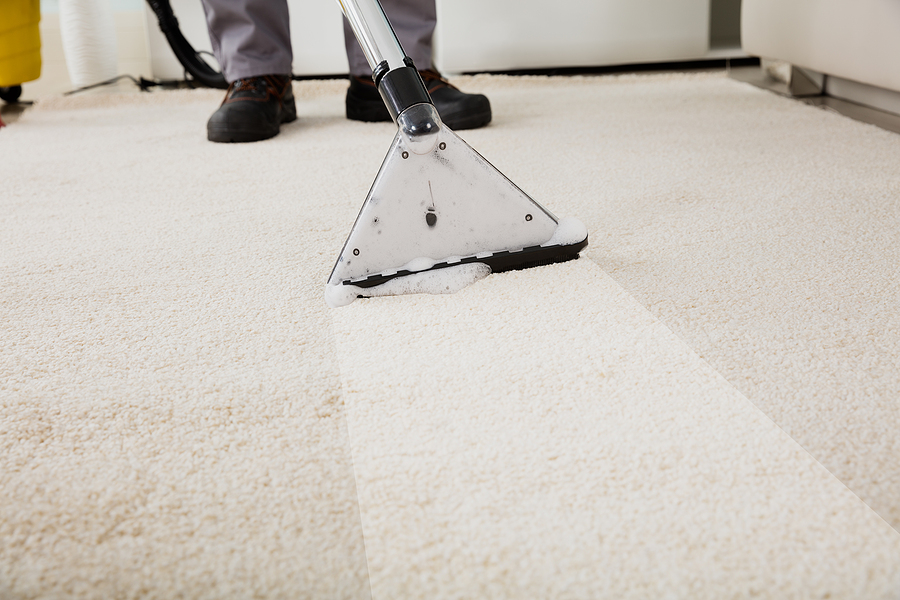 Whats-Hiding-in-Your-Carpet—-How-Dirty-Carpets-Affect-Indoor-Air-Quality-in-Albuquerqueby-ThoroClean-505-883-0437
