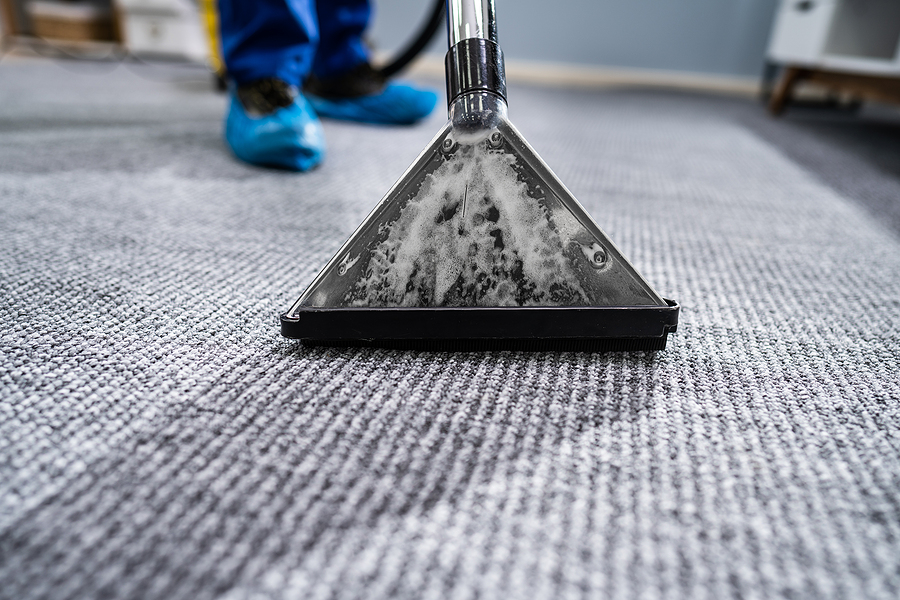 What Allergens Are Lurking Around Wreaking Havoc in Your Carpet and Furniture?