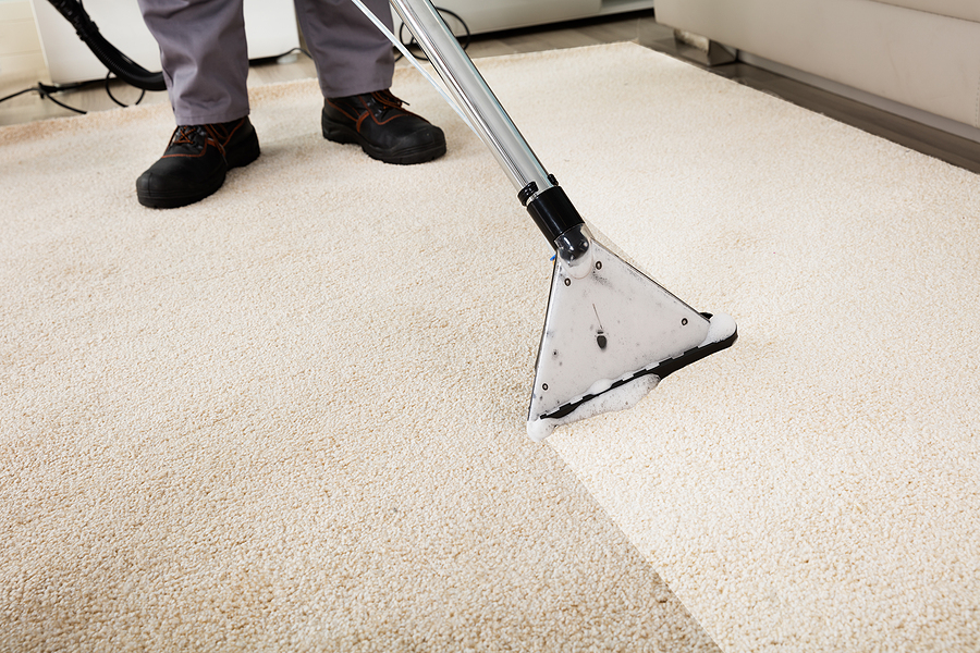 How Much Does Professional Carpet Cleaning Cost in Albuquerque?