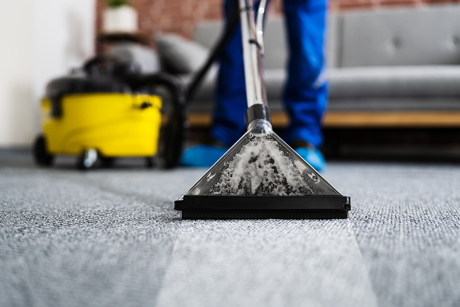 Is Professional Carpet Cleaning Better Than Renting a Carpet Cleaner?